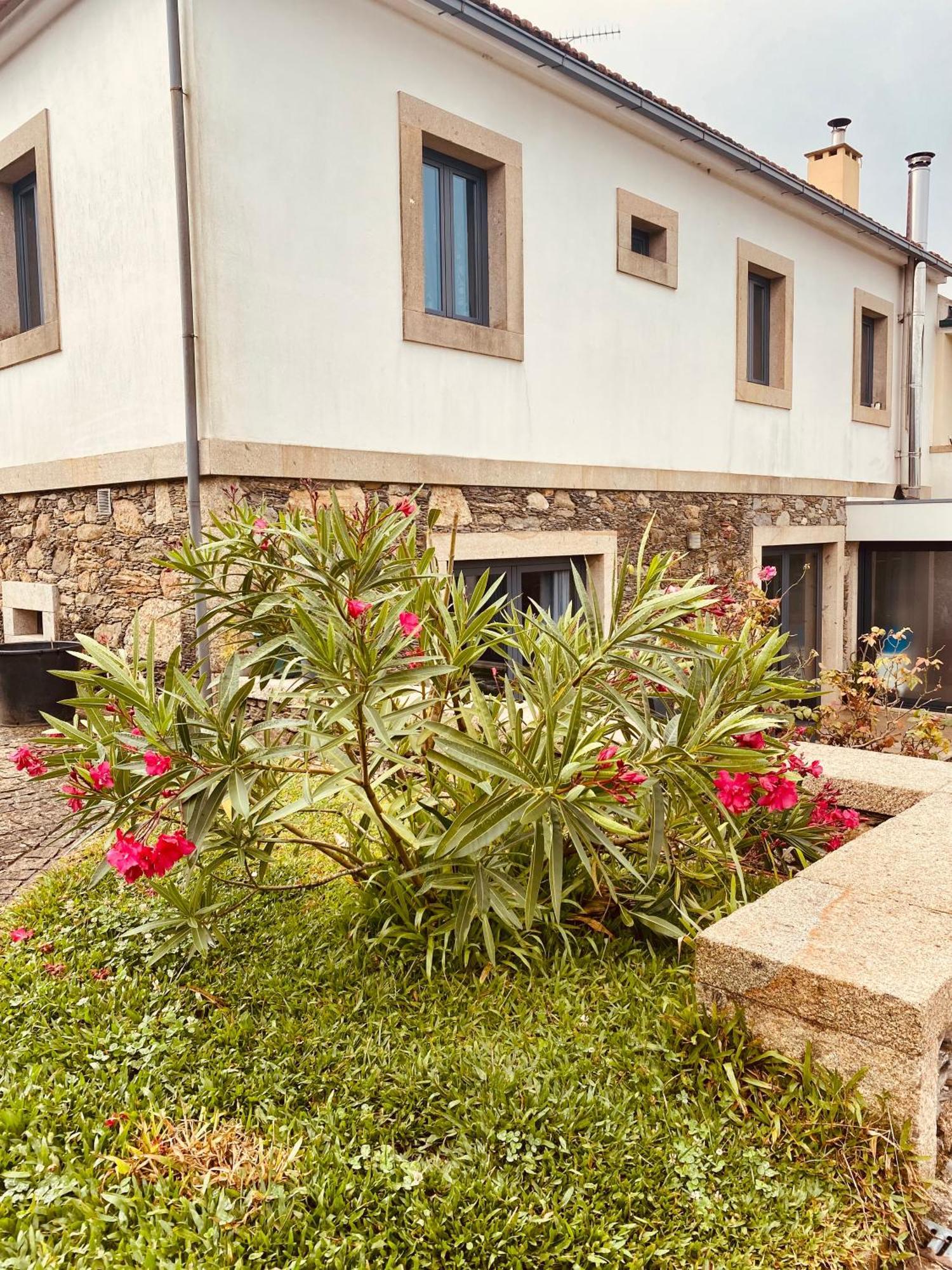 Serra De Arga Mountain House Montaria Buitenkant foto