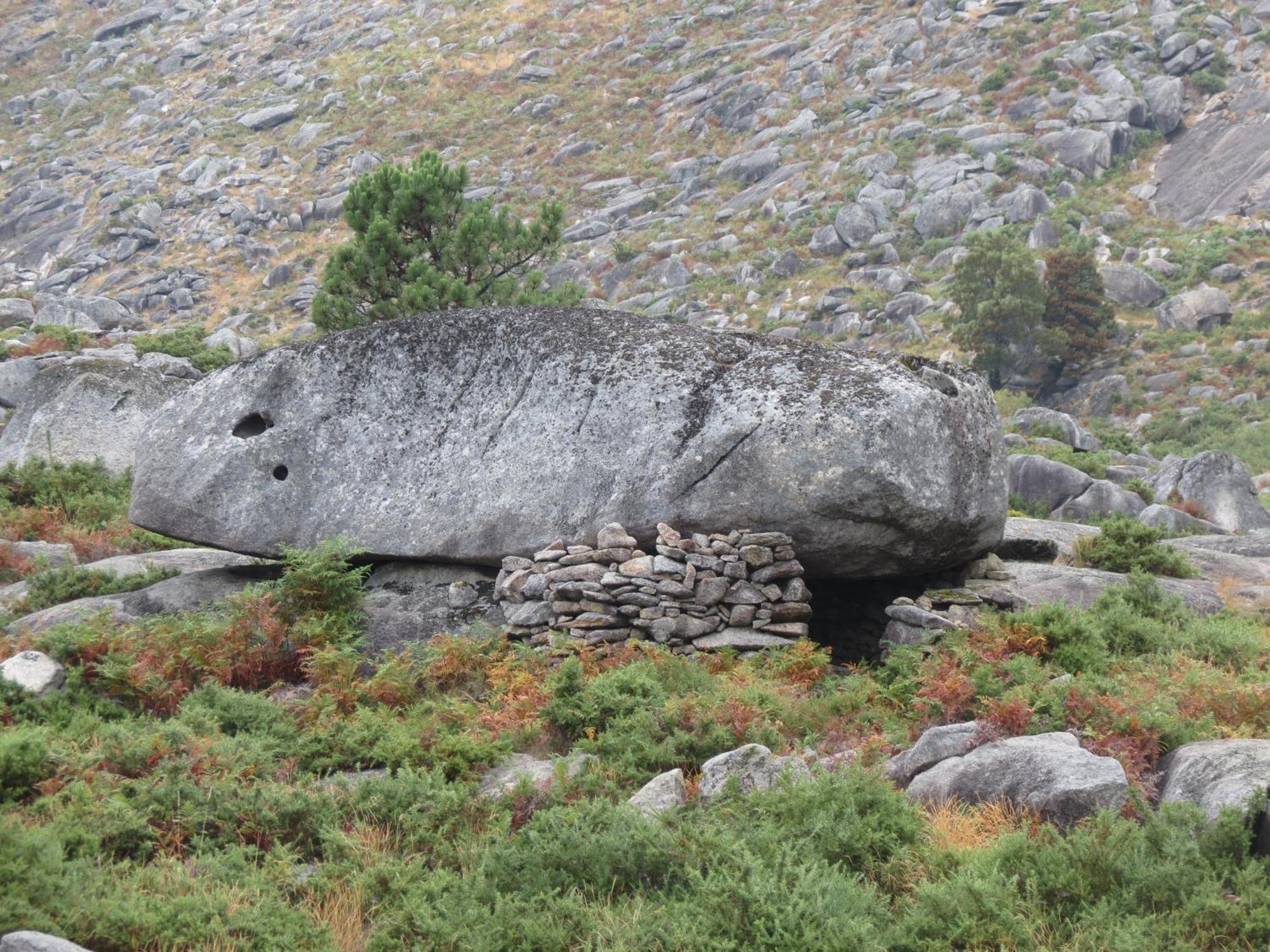 Serra De Arga Mountain House Montaria Buitenkant foto